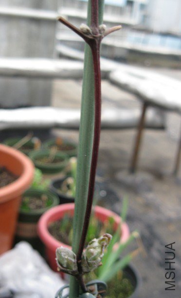 QQ��ͼ20130315003609.jpg