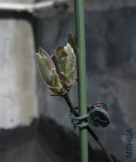 QQ��ͼ20130315003648.jpg