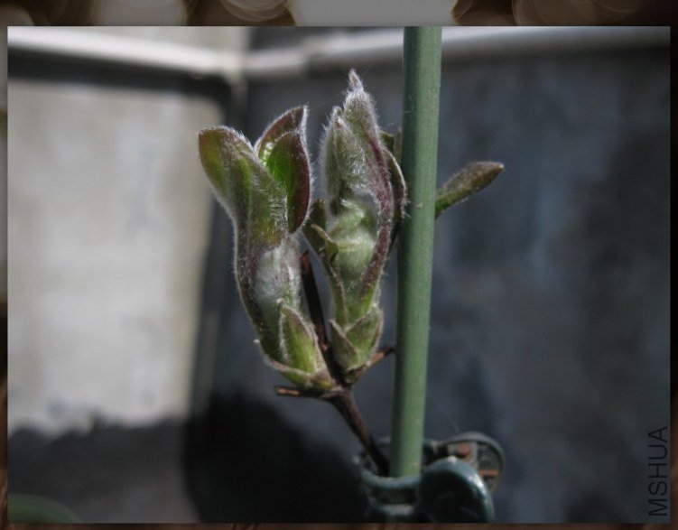 QQ��ͼ20130315003719.jpg