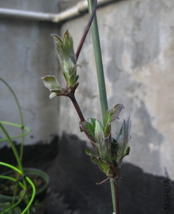 QQ��ͼ20130315003815.jpg