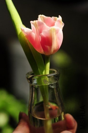 һ������