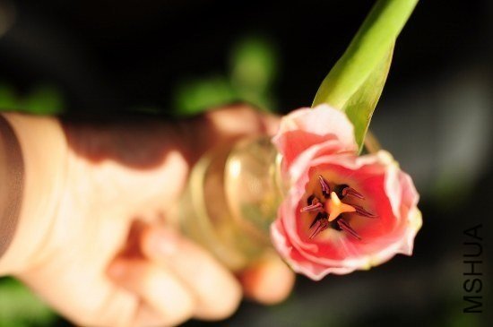 һ������