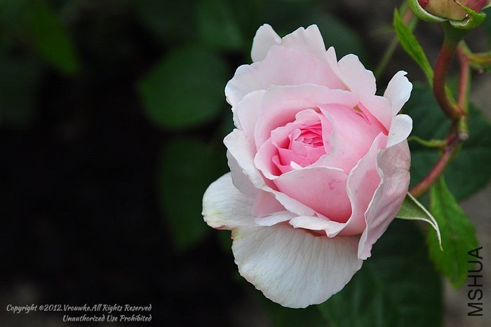 �������1 of ������.jpg