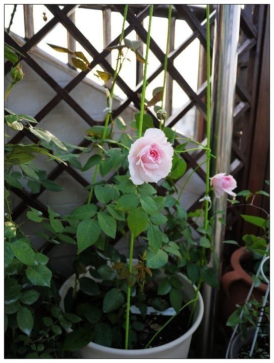 �������5 of ħ�ֶ�.jpg