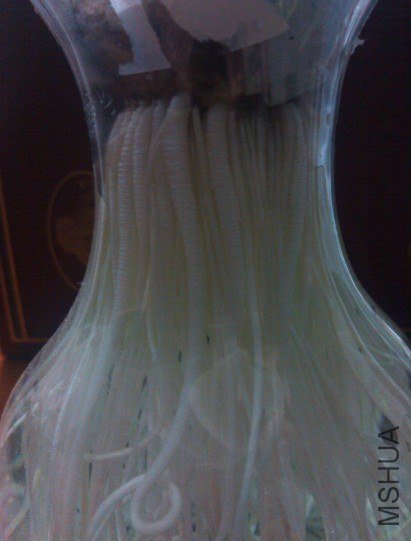 ��Ϊ�ڶ������������Ѿ��ܲ�����