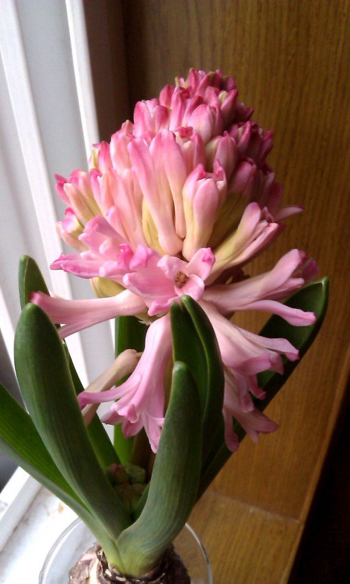 IMAG0026.jpg