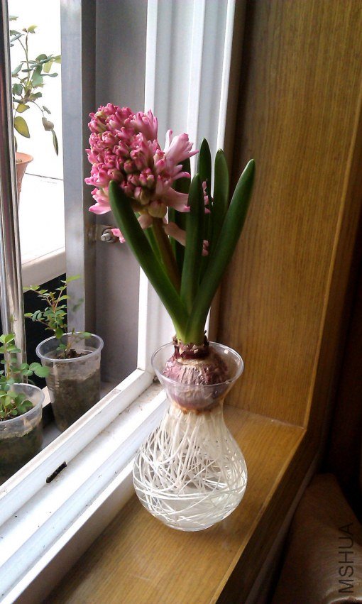 IMAG0019.jpg