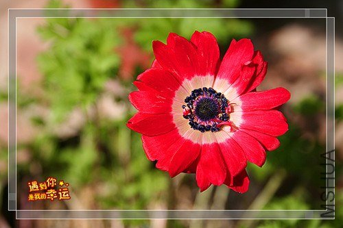 ��Ƭ 035_����.jpg