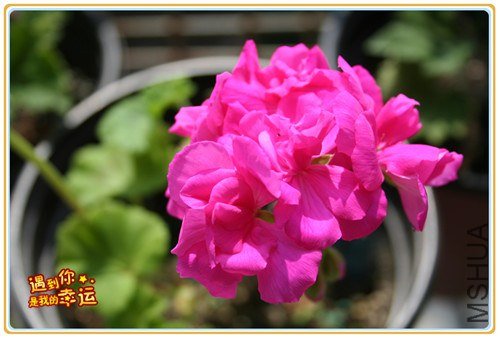 ��Ƭ 032_����.jpg