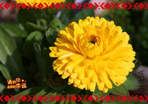 ��Ƭ 021_����.jpg