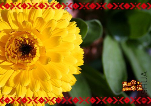 ��Ƭ 023_����.jpg