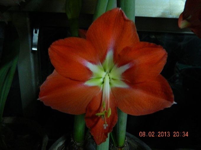 s680_��Ƭ 045.jpg