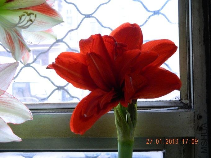 s680_��Ƭ 279.jpg