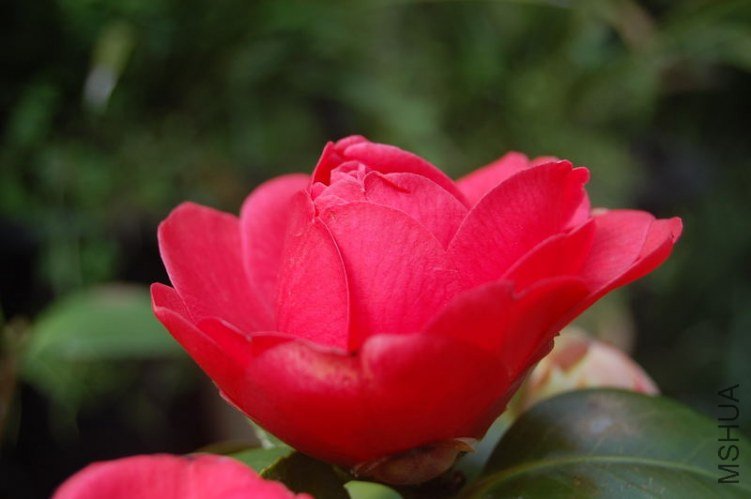 DSC_00810224.JPG