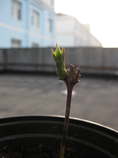 QQ��ͼ20130315224142.jpg