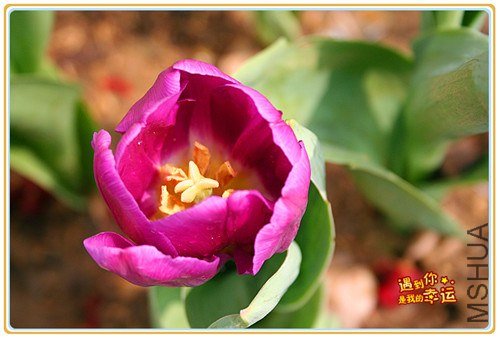 ��Ƭ 060_����.jpg