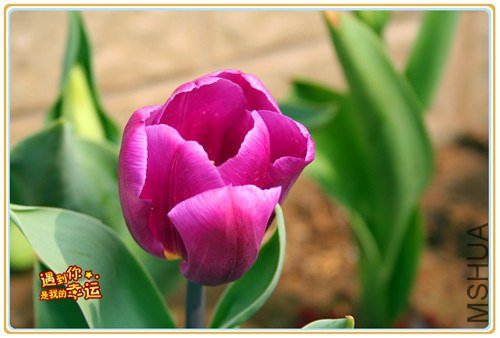 ��Ƭ 059_����.jpg