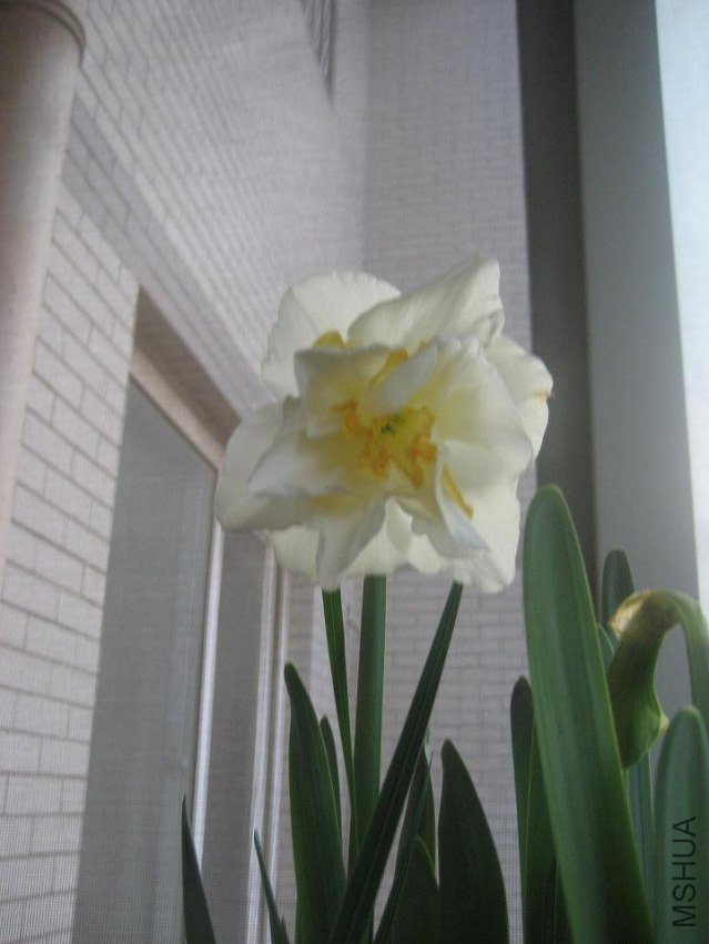 IMG_4848.JPG