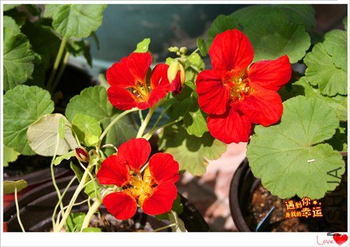 ��Ƭ 044_����.jpg