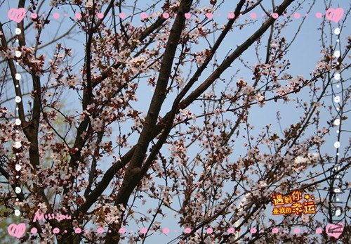 ��Ƭ 221_����.jpg