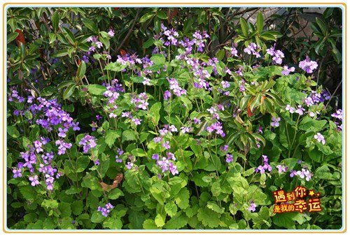 ��Ƭ 192_����.jpg