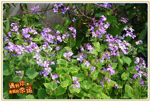 ��Ƭ 193_����.jpg