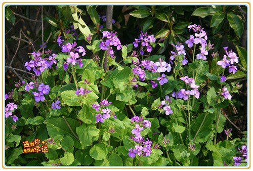 ��Ƭ 194_����.jpg