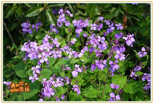 ��Ƭ 195_����.jpg