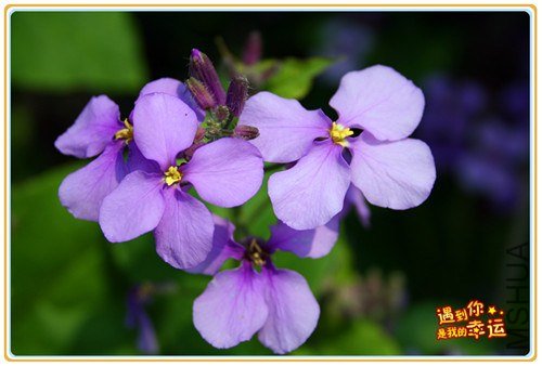 ��Ƭ 197_����.jpg