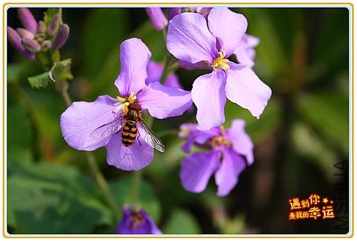 ��Ƭ 198_����.jpg