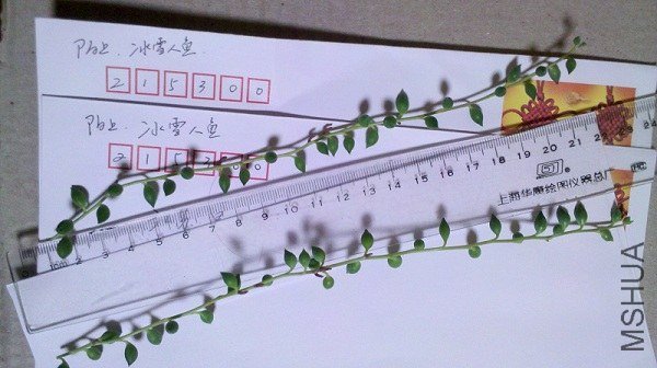 2013-03-16_06-30-14_763.jpg