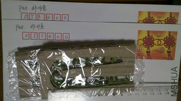 2013-03-16_18-04-46_634.jpg