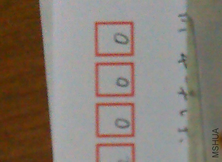 IMAG0344.jpg