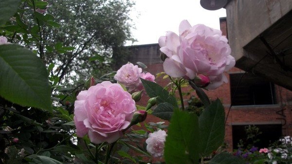 DSCF5801.jpg