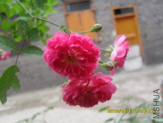 SDC15358.jpg