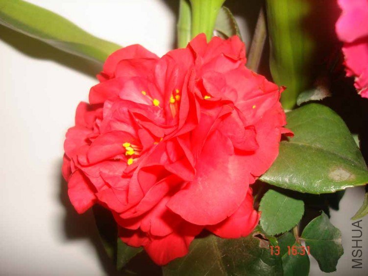 DSC00791.JPG