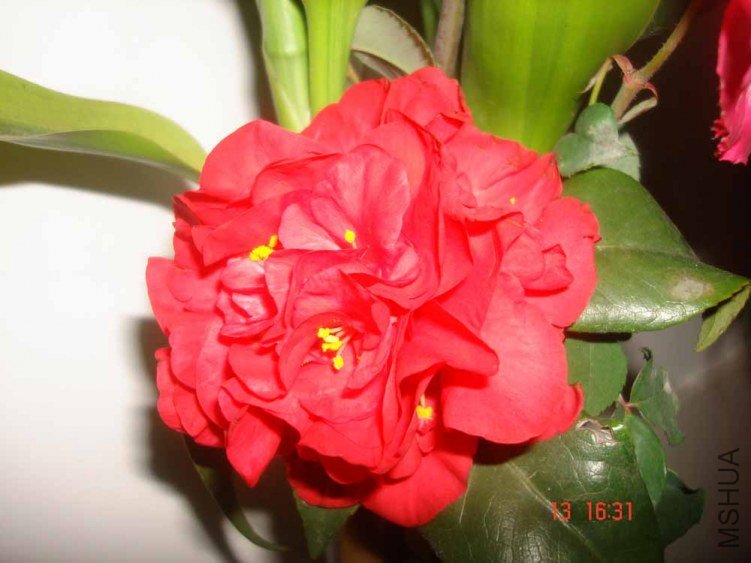 DSC00792.JPG
