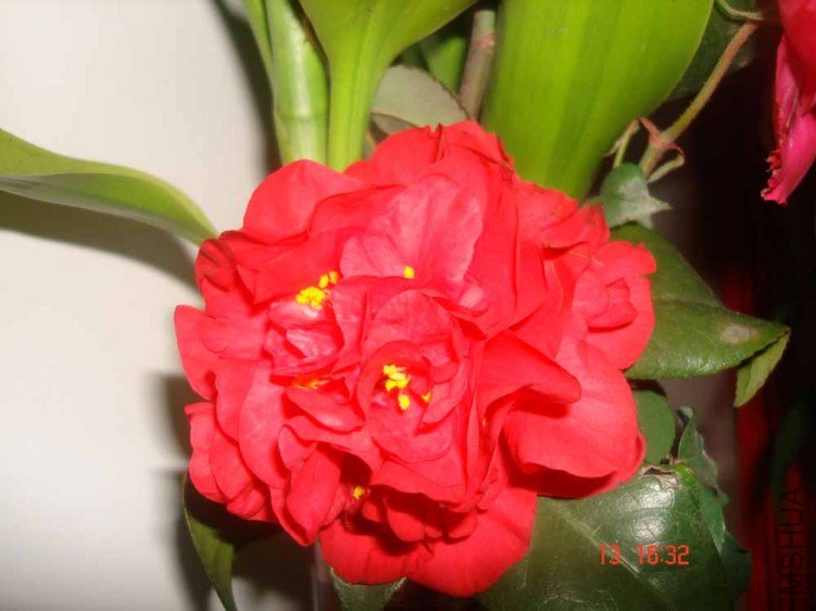 DSC00793.JPG