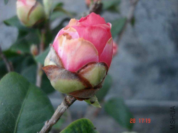DSC00972.JPG