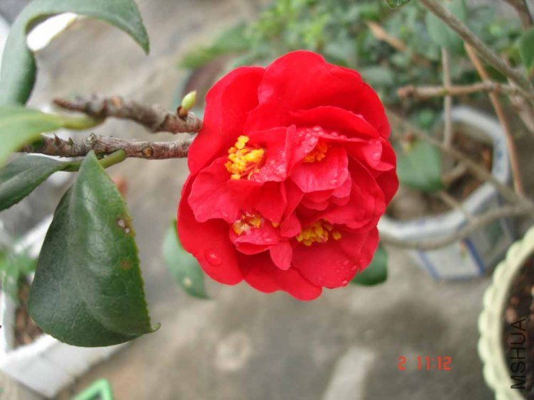 DSC01003.JPG