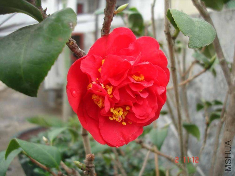 DSC01004.JPG