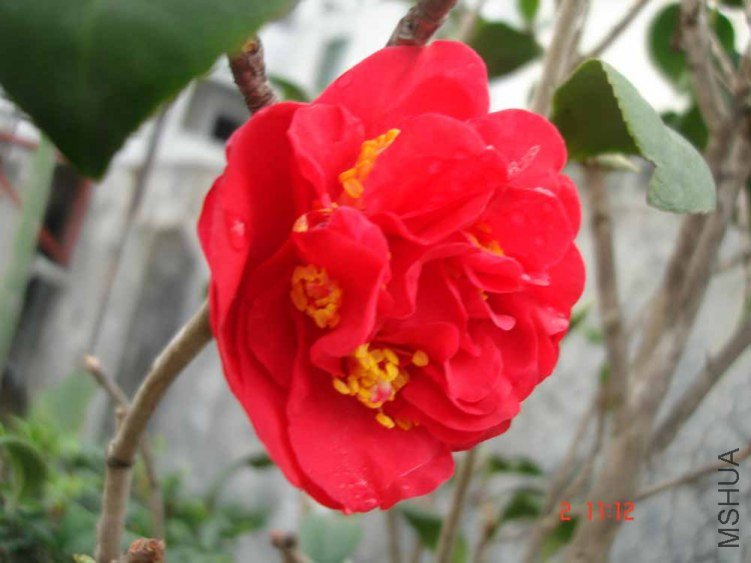 DSC01005.JPG