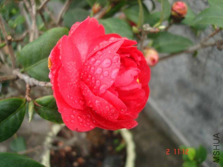 DSC01006.JPG