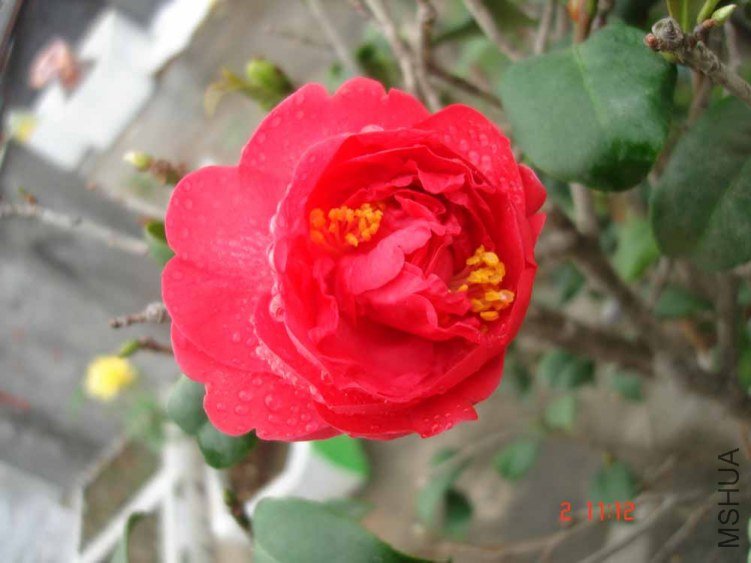 DSC01007.JPG