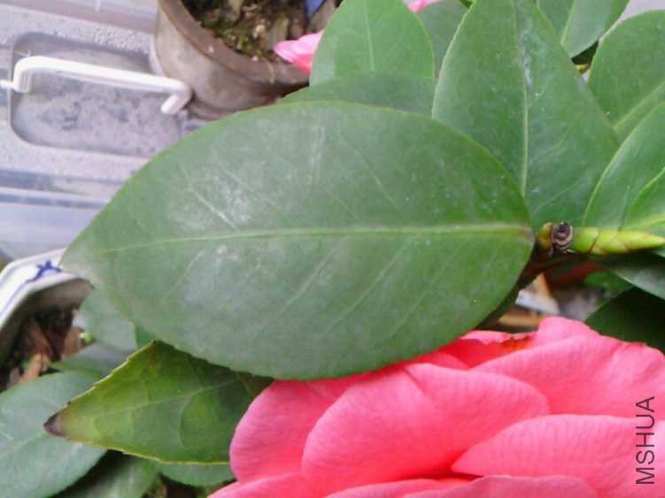 UC_Photo_005.jpg