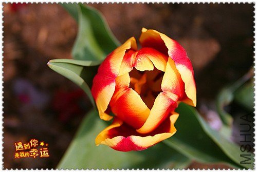 ��Ƭ 063_����.jpg