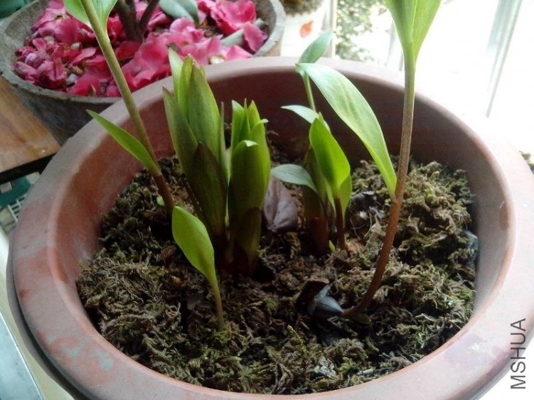 �ҵ�ȥ�꿪�ܵģ�û������������Ķ������ڷ��˲���ѿ��