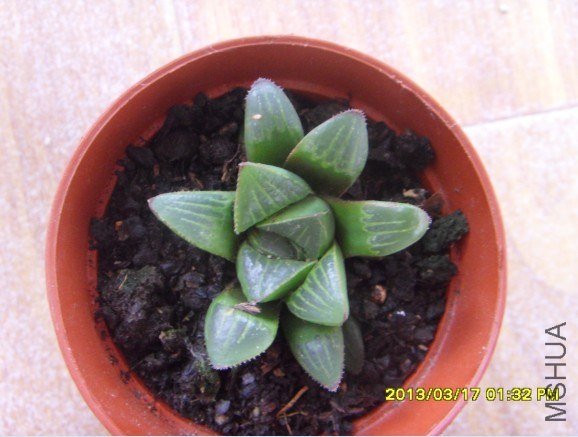 QQ��ͼ20130317134457.jpg