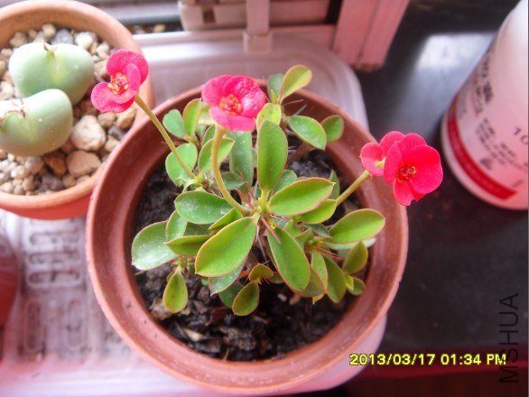 QQ��ͼ20130317134513.jpg