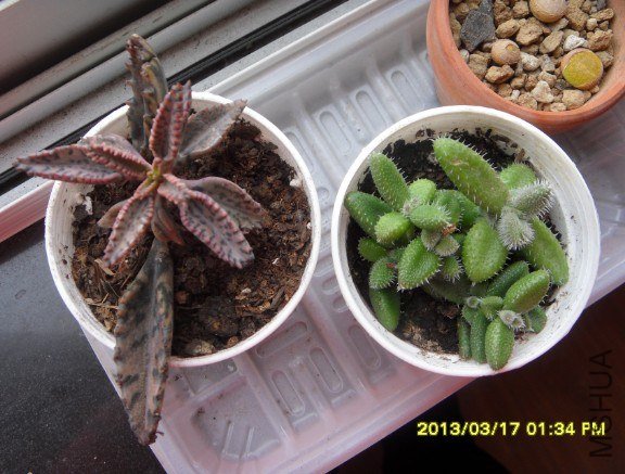 QQ��ͼ20130317134522.jpg